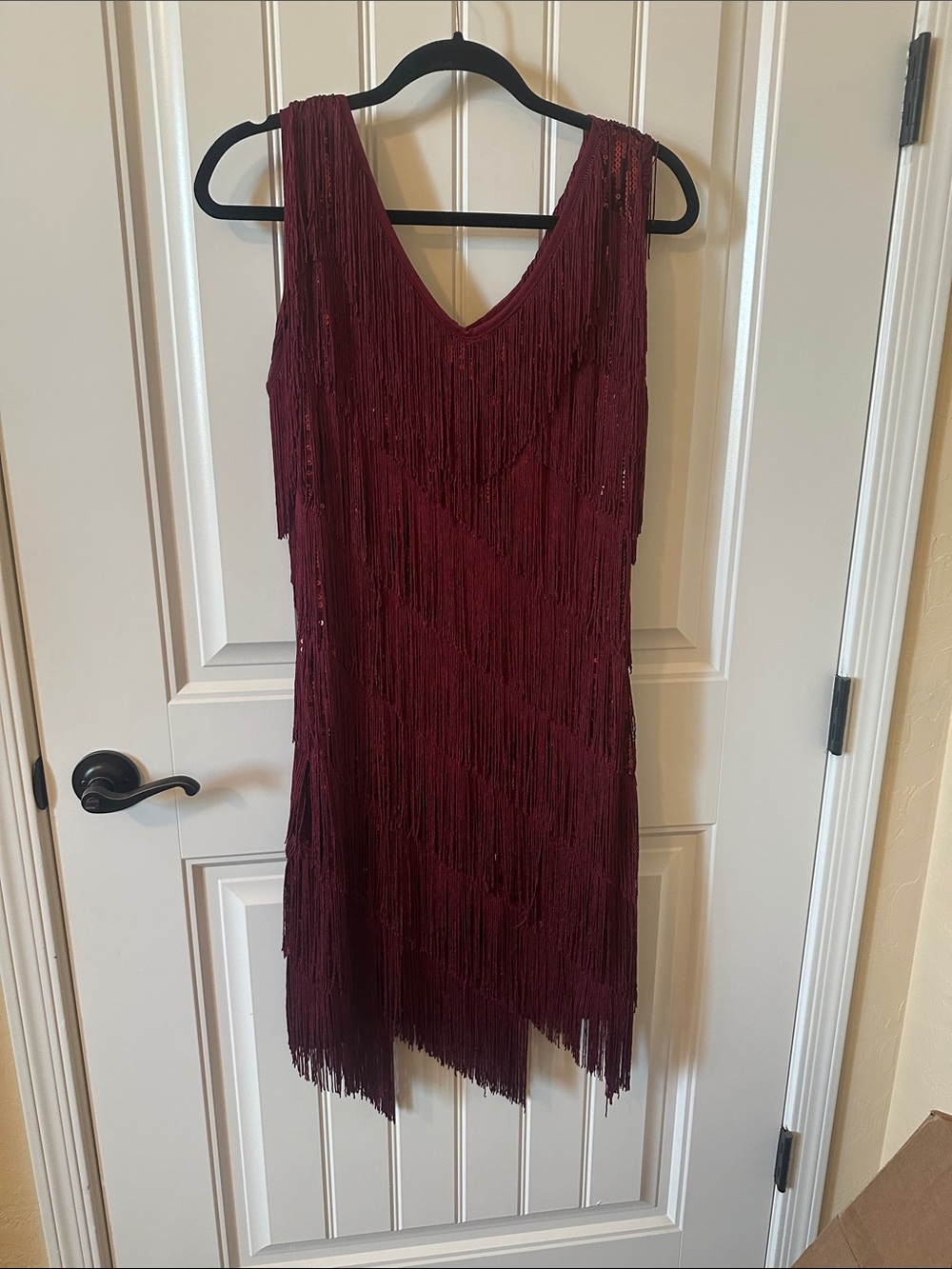 Sleeveless Asymmetrical Fringe Dress in Wine